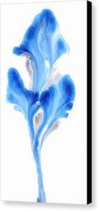 Petals Of Cobalt - Canvas Print