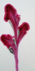 Petals of Magenta - 12" x 24" Original Fluid Acrylic Painting